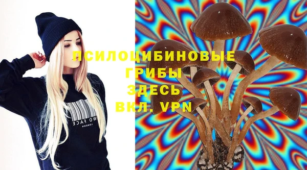 mix Абаза