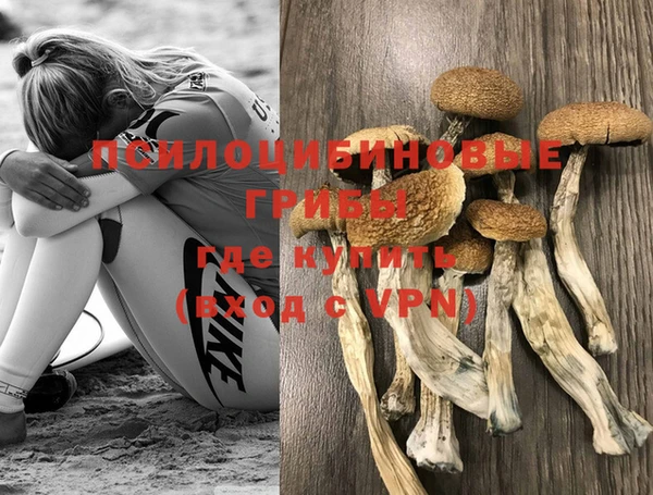 mix Абаза