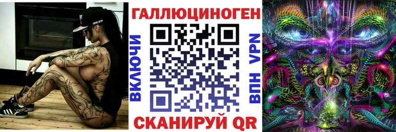 Галлюциногенные грибы Psilocybe  Хилок 